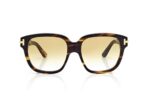 Tom Ford 1236 Icon Collection  Sunglasses - 56F