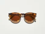 Moscot Frankie Sunglasses -Classic Havana 51